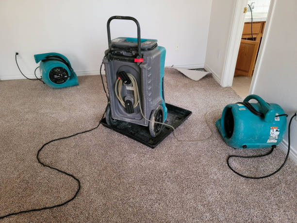 Best Water damage contractors near me  in Bray, OK