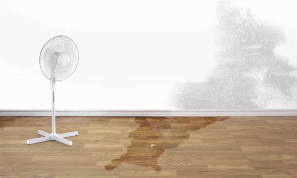 Best Water damage restoration experts  in Bray, OK