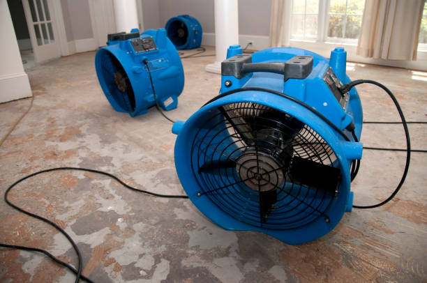 Best Water damage contractors near me  in Bray, OK