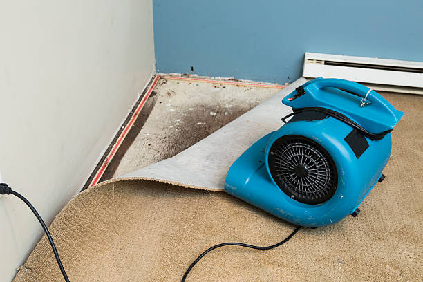 Best Flood damage cleanup  in Bray, OK